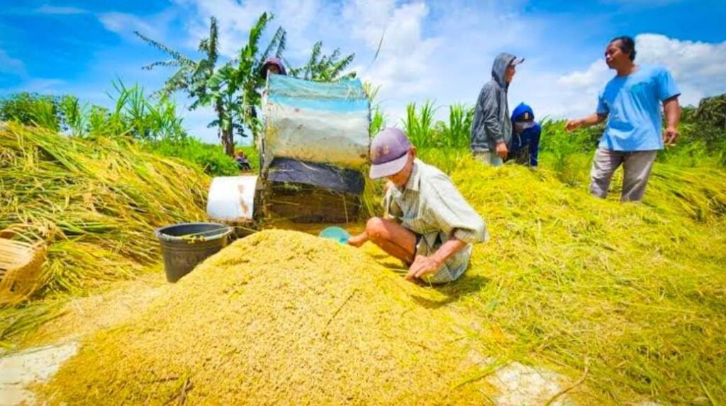 Penguatan Ketahanan Pangan Jadi Fokus Kerja Bersama