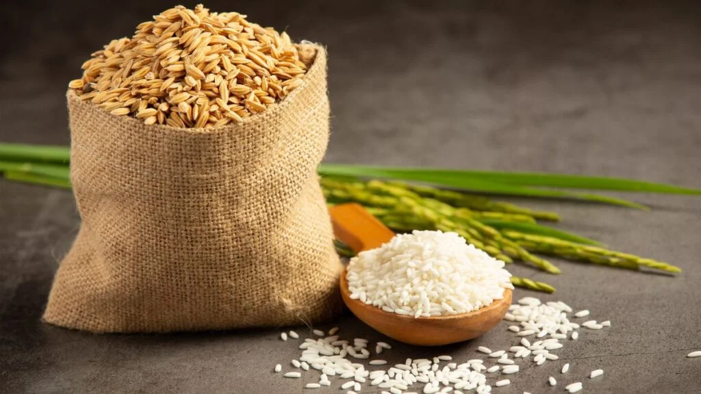 Harga Gabah Dijaga, Petani Makin Kuat Topang Pangan