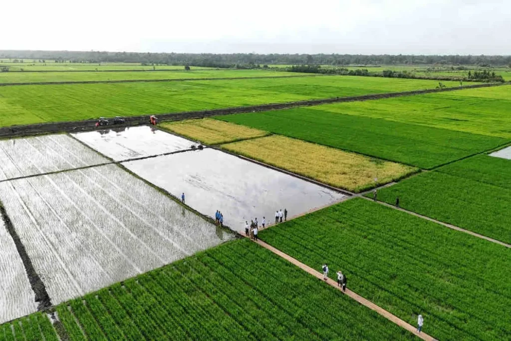 Pembangunan Jaringan Irigasi Air Tanah Tingkatkan Produktivitas Pertanian Pangan Papua