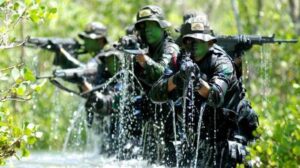 Mengecam Kekerasan OPM di Jayawijaya yang Korbankan Warga Sipil Pelayan Publik